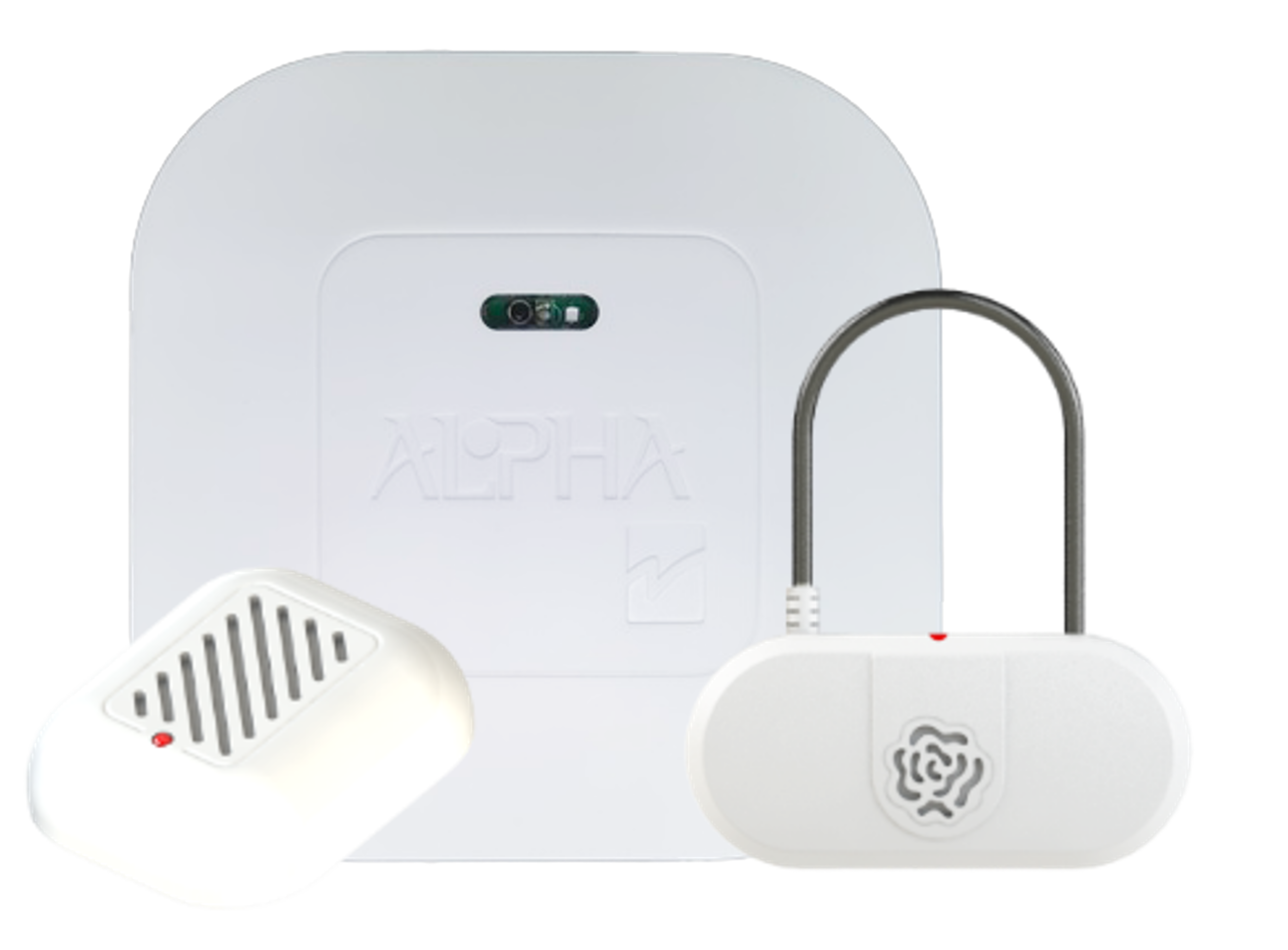 Alpha EAS Sicherheitssystem mit Warensicherungsetikett, Alarmkomponente und Antennenmodul