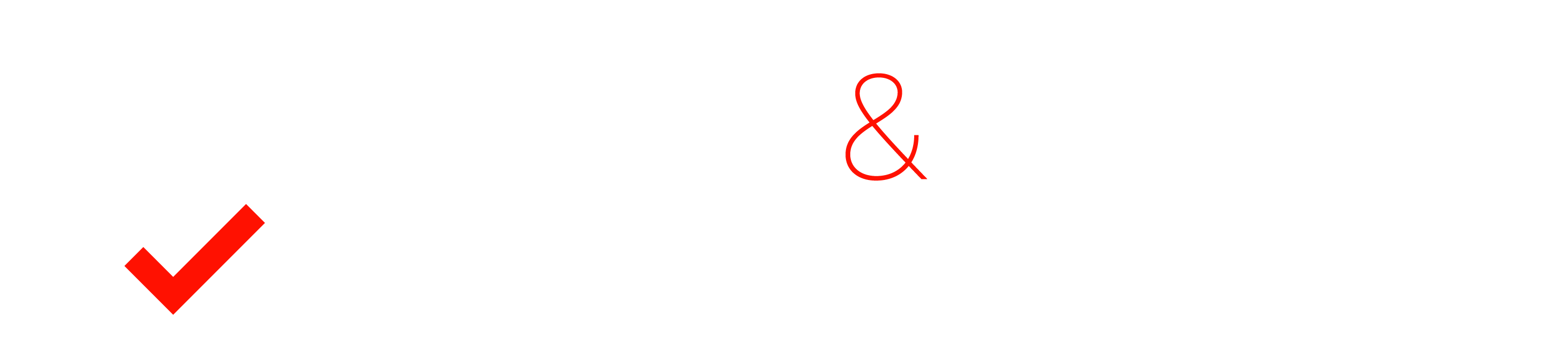 Check-and-Secure-Logo-White-TM